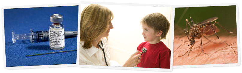 Yellow Fever Vaccine